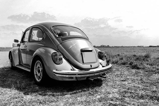Free download volkswagen beetle bug black white free picture to be edited with GIMP free online image editor