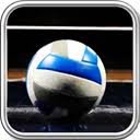 Volleyball Theme  screen for extension Chrome web store in OffiDocs Chromium