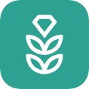 VPN Rice: Fast  Secure Proxy  screen for extension Chrome web store in OffiDocs Chromium