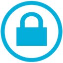 vSecure  screen for extension Chrome web store in OffiDocs Chromium