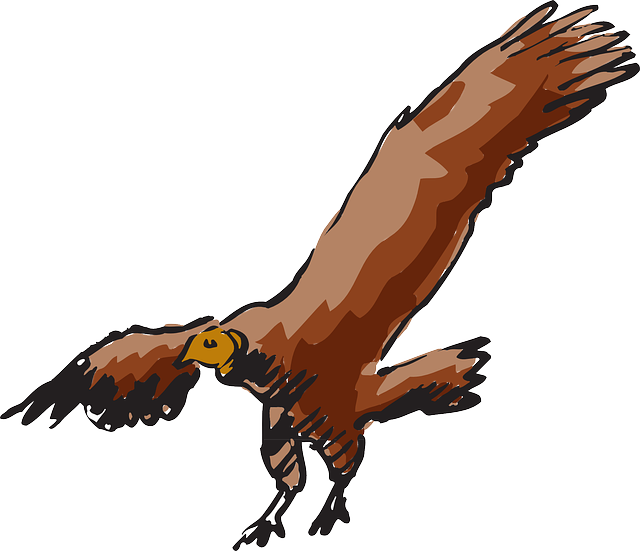 Kostenloser Download Vulture Scavanger Buzzard - Kostenlose Vektorgrafik auf Pixabay, kostenlose Illustration zur Bearbeitung mit GIMP, kostenloser Online-Bildeditor
