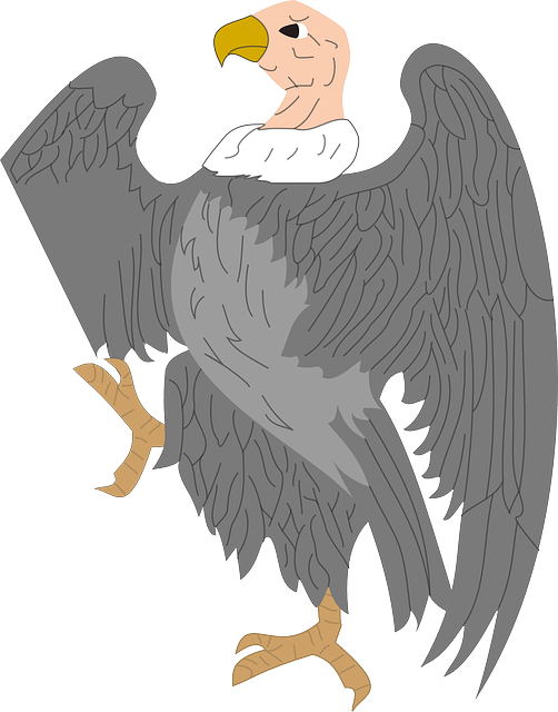 הורדה חינם Vulture Scavenger Creature - גרפיקה וקטורית בחינם על פיקסביי איור חינם לעריכה עם עורך תמונות מקוון בחינם של GIMP