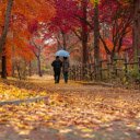 Walk in the park  screen for extension Chrome web store in OffiDocs Chromium