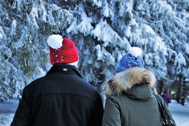 Bezpłatne pobieranie spaceru zimowej pary razem bez śniegu do edycji za pomocą bezpłatnego internetowego edytora obrazów GIMP