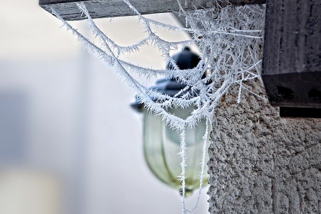Kostenloser Download Wand Spinnennetz Frost gefrorenes Eis Kostenloses Bild, das mit dem kostenlosen Online-Bildeditor GIMP bearbeitet werden kann