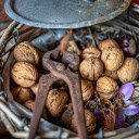 walnut and pliers  screen for extension Chrome web store in OffiDocs Chromium