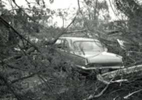 Free download Wapella Tornado Damage: Downed Trees on Car free photo or picture to be edited with GIMP online image editor