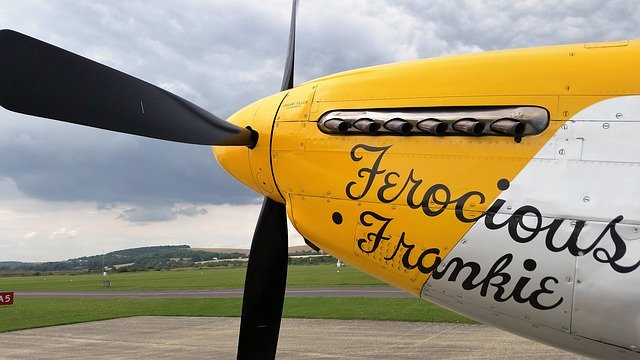 Free graphic warbird plane p 51 to be edited by GIMP free image editor by OffiDocs