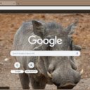 Warthog  screen for extension Chrome web store in OffiDocs Chromium