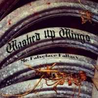 Download gratuito Washed Up Wings - Mr. Falseface Fallacy (Cover) foto o foto gratuite da modificare con l'editor di immagini online GIMP