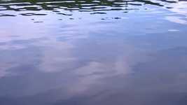Gratis download Water Achtergrond Reflectie Golven - gratis video om te bewerken met OpenShot online video-editor