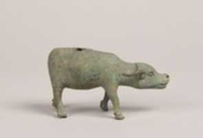 Free picture Water Buffalo to be edited by GIMP online free image editor by OffiDocs