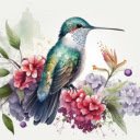 Watercolor Hummingbirds  screen for extension Chrome web store in OffiDocs Chromium