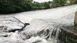 Free download Waterfall Forest Water -  free video to be edited with OpenShot online video editor