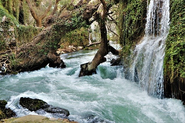 免费下载瀑布河流溪流森林免费图片以使用 GIMP 免费在线图像编辑器进行编辑