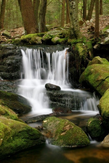 تحميل مجاني للصور المجانية Waterfall rocks moss water تعمل مجانًا ليتم تحريرها باستخدام محرر الصور المجاني عبر الإنترنت من GIMP