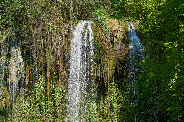 Free download waterfall that nature forest free picture to be edited with GIMP free online image editor