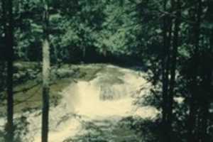 Free download Waterfall, Trees, River, Woods free photo or picture to be edited with GIMP online image editor