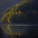 WATER FOREST THEME  screen for extension Chrome web store in OffiDocs Chromium