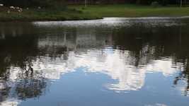 Free download Water Landscape Lake -  free video to be edited with OpenShot online video editor