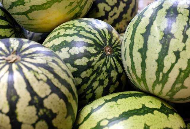 Kostenloser Download Wassermelonen Melone Obst - kostenloses Foto oder Bild zur Bearbeitung mit GIMP Online-Bild-Editor