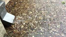 Free download Water Rain Drops -  free video to be edited with OpenShot online video editor