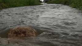 Free download Water Rushing Rock -  free video to be edited with OpenShot online video editor
