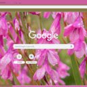 Watsonia  screen for extension Chrome web store in OffiDocs Chromium