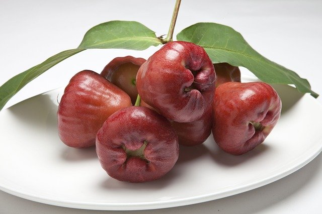 Bezpłatne pobieranie wosku jabłkowo-wodnego generalife dzień brzoskwiniowy darmowe zdjęcie do edycji za pomocą bezpłatnego internetowego edytora obrazów GIMP