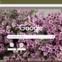 Waxflower  screen for extension Chrome web store in OffiDocs Chromium