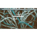 Weaved Rope  screen for extension Chrome web store in OffiDocs Chromium