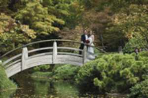 Free download Wedding bridge free photo or picture to be edited with GIMP online image editor