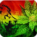 Ecran Weed Lions pour extension Chrome web store dans OffiDocs Chromium