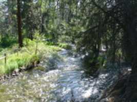 Free download WEEKn ROOT 6 6 13to 6 14 13 free photo or picture to be edited with GIMP online image editor