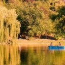 Weeping Trees by the Lake  screen for extension Chrome web store in OffiDocs Chromium