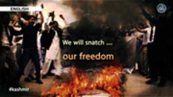 Free download We will snatch our freedom free photo or picture to be edited with GIMP online image editor
