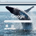 Whale  screen for extension Chrome web store in OffiDocs Chromium
