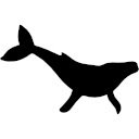Schermata Whale Finder per l'estensione Chrome Web Store in OffiDocs Chromium