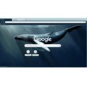 Whale HD  screen for extension Chrome web store in OffiDocs Chromium