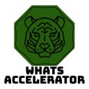 whats Accelerator  screen for extension Chrome web store in OffiDocs Chromium