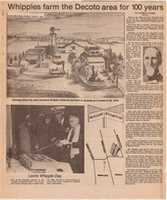 Free download Whipples farm the Decoto area for 100 years (San Jose News, June 9, 1978) free photo or picture to be edited with GIMP online image editor