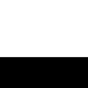 WhiteBlackTheme  screen for extension Chrome web store in OffiDocs Chromium
