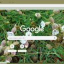 White Campion  screen for extension Chrome web store in OffiDocs Chromium