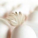 White chicken eggs  screen for extension Chrome web store in OffiDocs Chromium