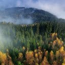 White clouds fly over the forest  screen for extension Chrome web store in OffiDocs Chromium