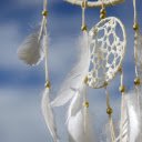 White feathers  screen for extension Chrome web store in OffiDocs Chromium