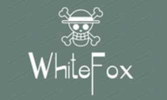 Free download White Fox 1 free photo or picture to be edited with GIMP online image editor