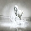 หน้าจอ White Horse สำหรับส่วนขยาย Chrome เว็บสโตร์ใน OffiDocs Chromium