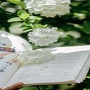 White hydrangea wallpaper  screen for extension Chrome web store in OffiDocs Chromium