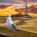 White necked pigeon  screen for extension Chrome web store in OffiDocs Chromium